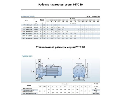 Насосный агрегат моноблочный фланцевый PURITY PSTC 80-160/110